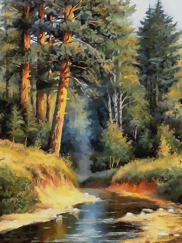Summer Stream II Black Ornate Wood Framed Art Print with Double Matting by Medeiros, Celito