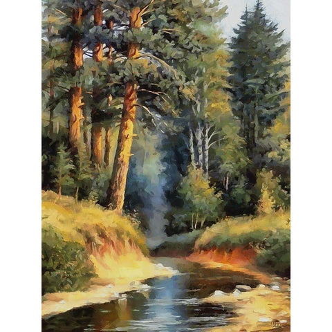 Summer Stream II Black Modern Wood Framed Art Print by Medeiros, Celito