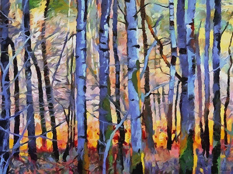 Birch Variation I Black Ornate Wood Framed Art Print with Double Matting by Medeiros, Celito