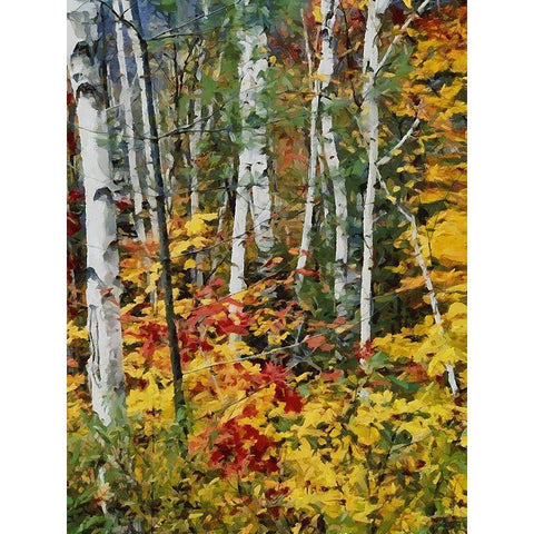 Birch Variation II Gold Ornate Wood Framed Art Print with Double Matting by Medeiros, Celito