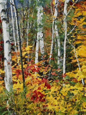 Birch Variation II Black Ornate Wood Framed Art Print with Double Matting by Medeiros, Celito