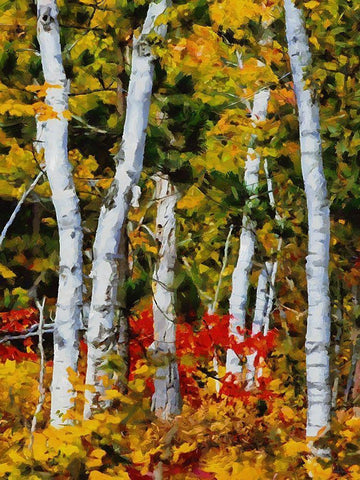 Birch Variation III White Modern Wood Framed Art Print with Double Matting by Medeiros, Celito