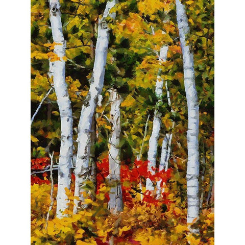Birch Variation III Black Modern Wood Framed Art Print by Medeiros, Celito