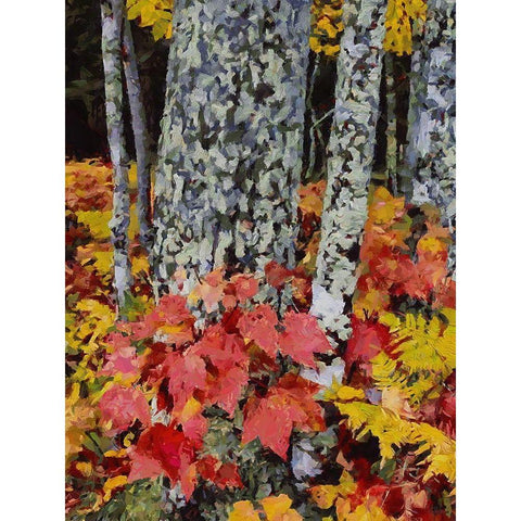 Birch Variation V Black Modern Wood Framed Art Print with Double Matting by Medeiros, Celito