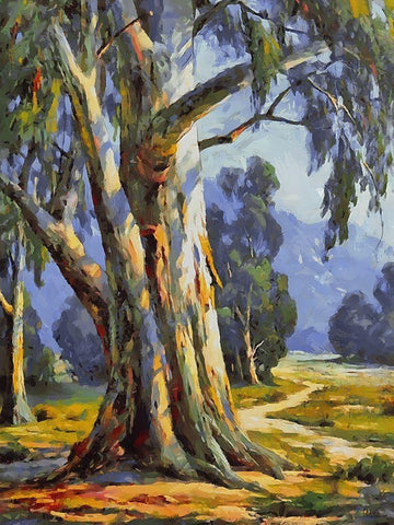 Path Trough The Woods I Black Ornate Wood Framed Art Print with Double Matting by Medeiros, Celito