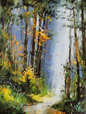 Path Trough The Woods I Black Ornate Wood Framed Art Print with Double Matting by Medeiros, Celito