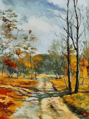 Path Trough The Woods I Black Ornate Wood Framed Art Print with Double Matting by Medeiros, Celito