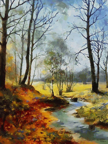 Stream Trough The Woods I Black Ornate Wood Framed Art Print with Double Matting by Medeiros, Celito