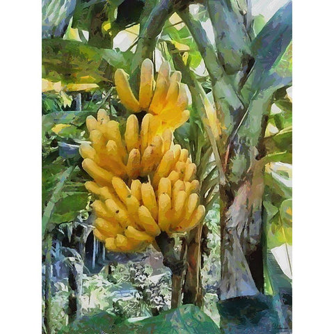 Banana Tree Gold Ornate Wood Framed Art Print with Double Matting by Medeiros, Celito