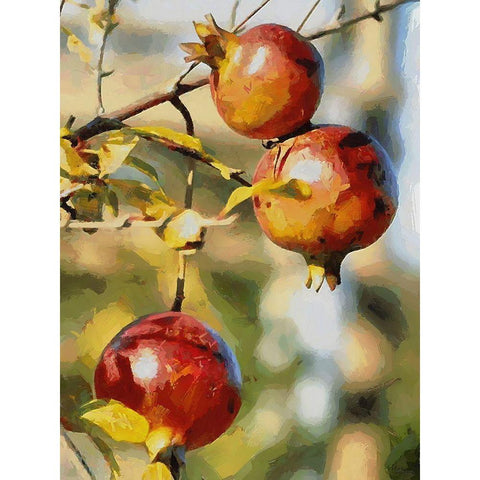 Pomegranate Tree White Modern Wood Framed Art Print by Medeiros, Celito