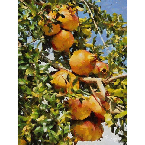 Pomegranate Tree II Gold Ornate Wood Framed Art Print with Double Matting by Medeiros, Celito