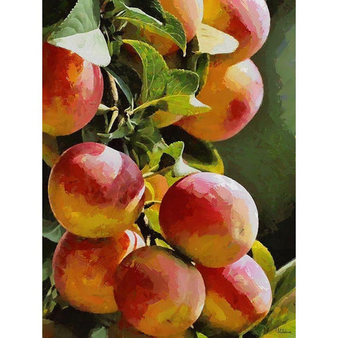 Peach Tree Black Modern Wood Framed Art Print with Double Matting by Medeiros, Celito