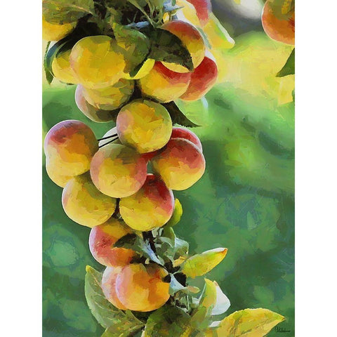 Peach Tree II Gold Ornate Wood Framed Art Print with Double Matting by Medeiros, Celito