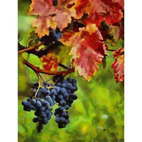 Twig of Grape Wine White Modern Wood Framed Art Print by Medeiros, Celito