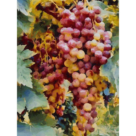 Twig of Grape Wine II White Modern Wood Framed Art Print by Medeiros, Celito