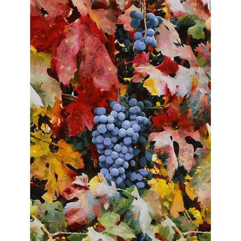 Twig of Grape Wine III Black Modern Wood Framed Art Print with Double Matting by Medeiros, Celito