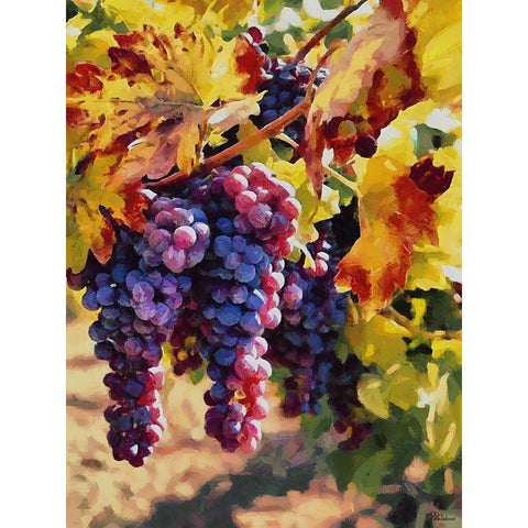 Twig of Grape Wine IV Black Modern Wood Framed Art Print with Double Matting by Medeiros, Celito