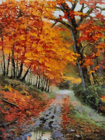 Romantic Nature in Autumn XVII Black Ornate Wood Framed Art Print with Double Matting by Medeiros, Celito