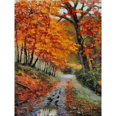 Romantic Nature in Autumn XVII Black Modern Wood Framed Art Print with Double Matting by Medeiros, Celito