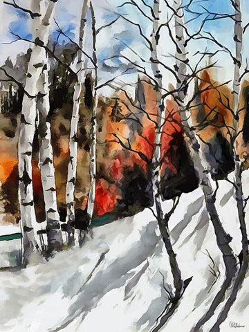 Birches in Snow Black Ornate Wood Framed Art Print with Double Matting by Medeiros, Celito