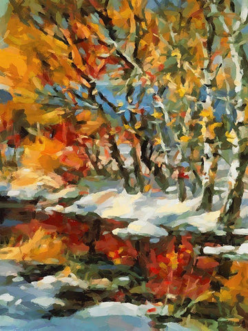 Stream in Winter III Black Ornate Wood Framed Art Print with Double Matting by Medeiros, Celito