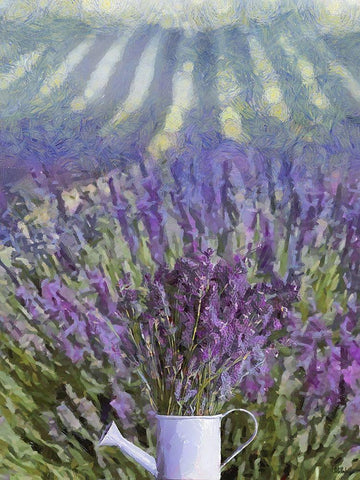 Can in the Lavender Field White Modern Wood Framed Art Print with Double Matting by Medeiros, Celito