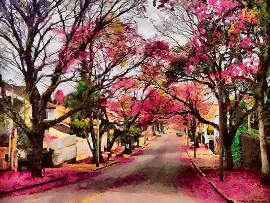 Image Only