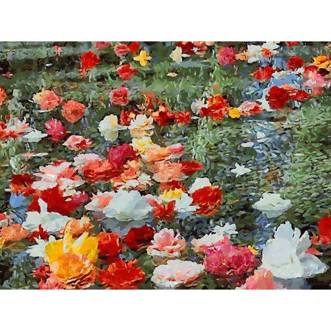 Red, White and Pink Flowers Gold Ornate Wood Framed Art Print with Double Matting by Medeiros, Celito