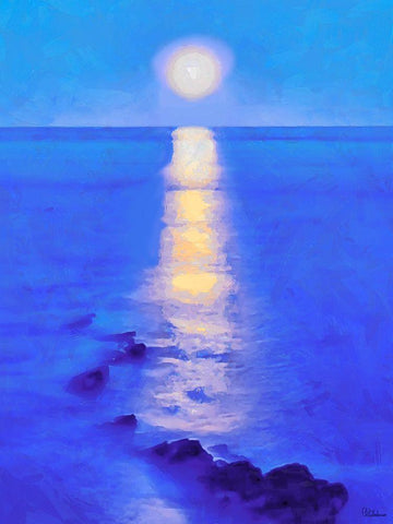 Full Moon over the Sea Black Ornate Wood Framed Art Print with Double Matting by Medeiros, Celito