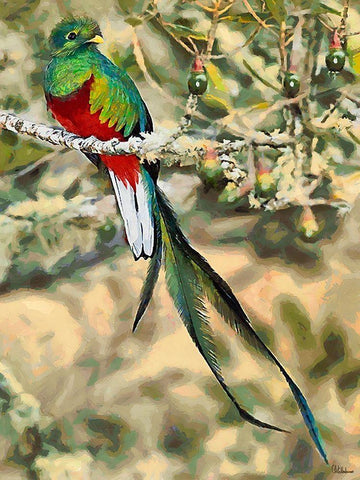 Green Bird with long Feathers White Modern Wood Framed Art Print with Double Matting by Medeiros, Celito