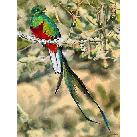 Green Bird with long Feathers Black Modern Wood Framed Art Print with Double Matting by Medeiros, Celito