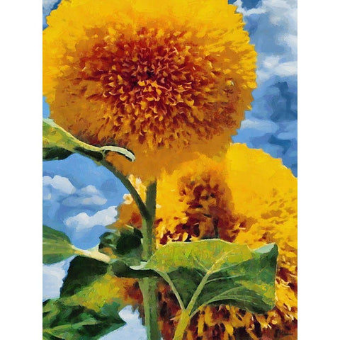 Two Sunflowers White Modern Wood Framed Art Print by Medeiros, Celito