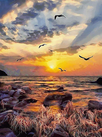 Seagulls by Sunset Black Ornate Wood Framed Art Print with Double Matting by Medeiros, Celito