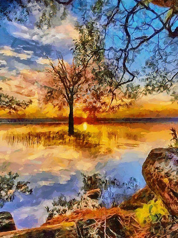 Tree in the Lake Black Ornate Wood Framed Art Print with Double Matting by Medeiros, Celito