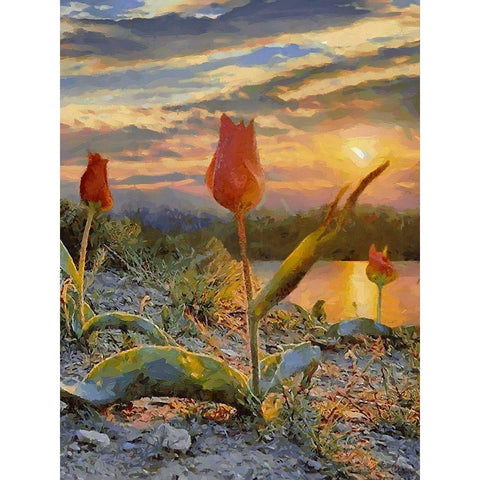 Sunset over the Tulips White Modern Wood Framed Art Print by Medeiros, Celito