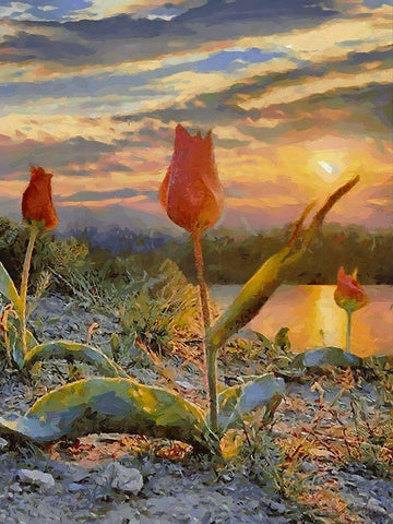 Sunset over the Tulips White Modern Wood Framed Art Print with Double Matting by Medeiros, Celito