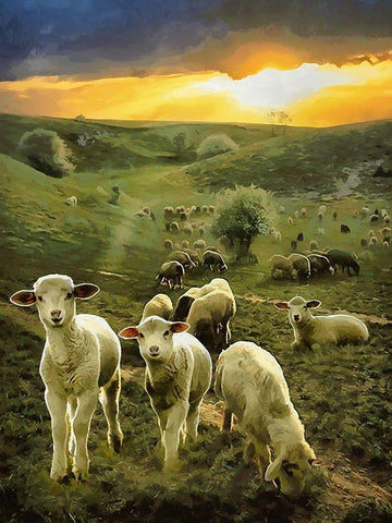 Sheeps by Sunrise Black Ornate Wood Framed Art Print with Double Matting by Medeiros, Celito