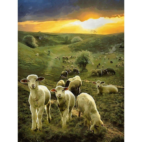 Sheeps by Sunrise Black Modern Wood Framed Art Print with Double Matting by Medeiros, Celito
