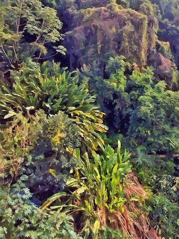 Tropical  Forrest Black Ornate Wood Framed Art Print with Double Matting by Medeiros, Celito