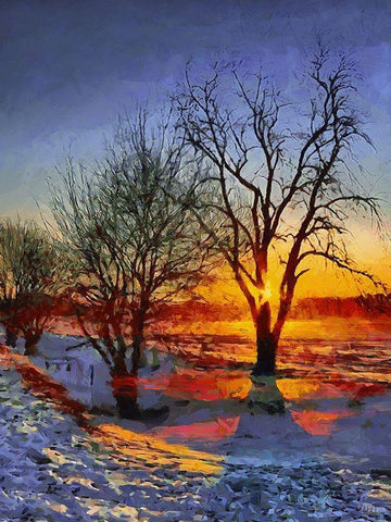 Sunrise in Frozen Landscape II Black Ornate Wood Framed Art Print with Double Matting by Medeiros, Celito