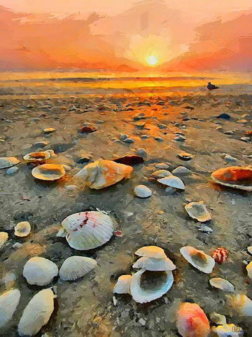 Shells on the Beach Black Ornate Wood Framed Art Print with Double Matting by Medeiros, Celito