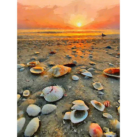 Shells on the Beach Black Modern Wood Framed Art Print by Medeiros, Celito