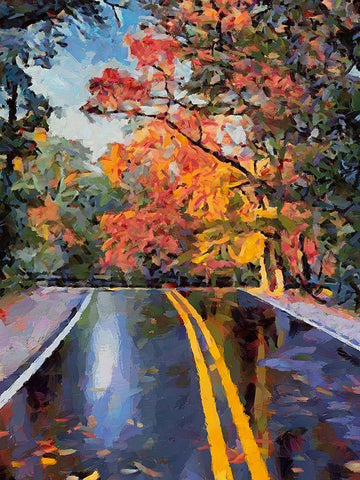 Road like a Mirror White Modern Wood Framed Art Print with Double Matting by Medeiros, Celito