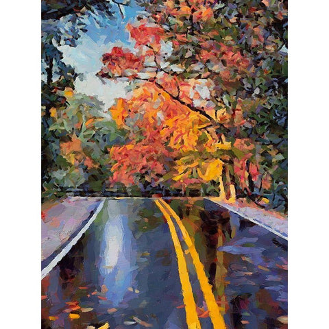 Road like a Mirror Black Modern Wood Framed Art Print by Medeiros, Celito