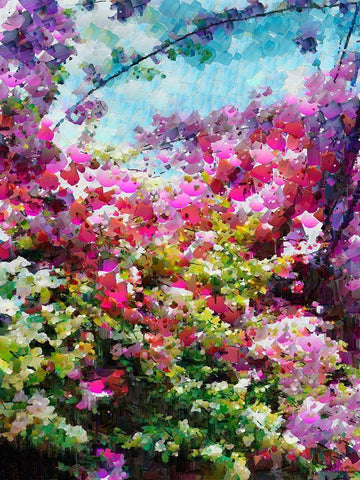 Pink Flowering Garden I Black Ornate Wood Framed Art Print with Double Matting by Medeiros, Celito