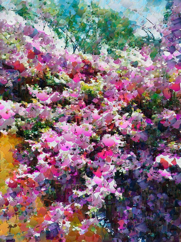 Pink Flowering Garden II Black Ornate Wood Framed Art Print with Double Matting by Medeiros, Celito