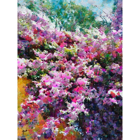 Pink Flowering Garden II White Modern Wood Framed Art Print by Medeiros, Celito