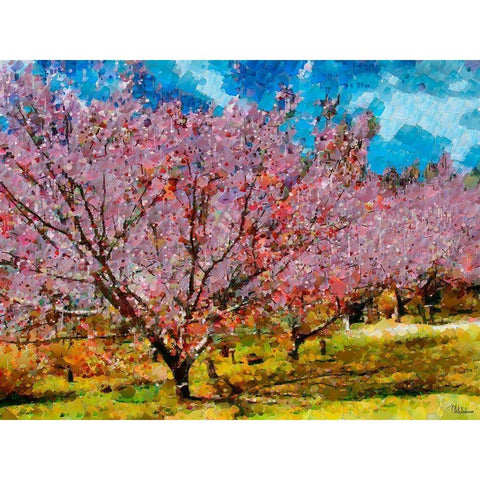Pink Flowering Tree III Black Modern Wood Framed Art Print with Double Matting by Medeiros, Celito