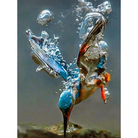 Kingfisher in the Water Black Modern Wood Framed Art Print with Double Matting by Medeiros, Celito
