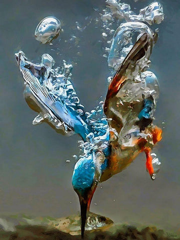 Kingfisher in the Water White Modern Wood Framed Art Print with Double Matting by Medeiros, Celito